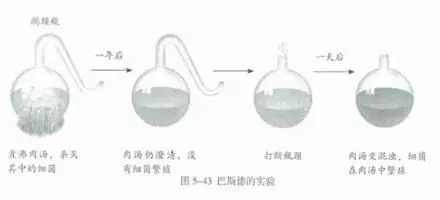 生活百科小学生必备_百科必备小学生生活常识_小学生生活小百科