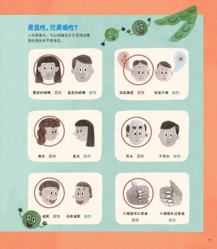 百科必备小学生生活常识_生活百科小学生必备_小学生生活小百科