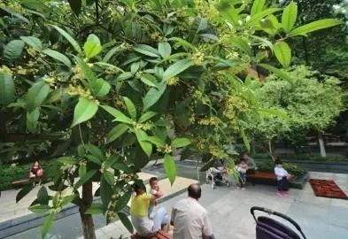 古装糕点甜品店名字_古装甜品糕点店_古装糕点图片大全