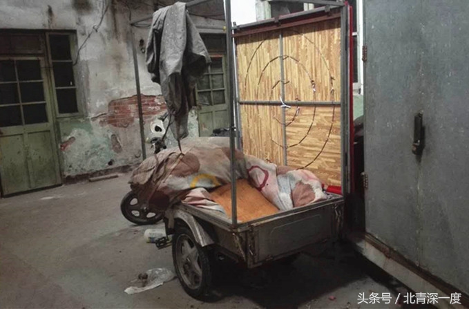 常识生活百科_生活常识街访_神街访南京